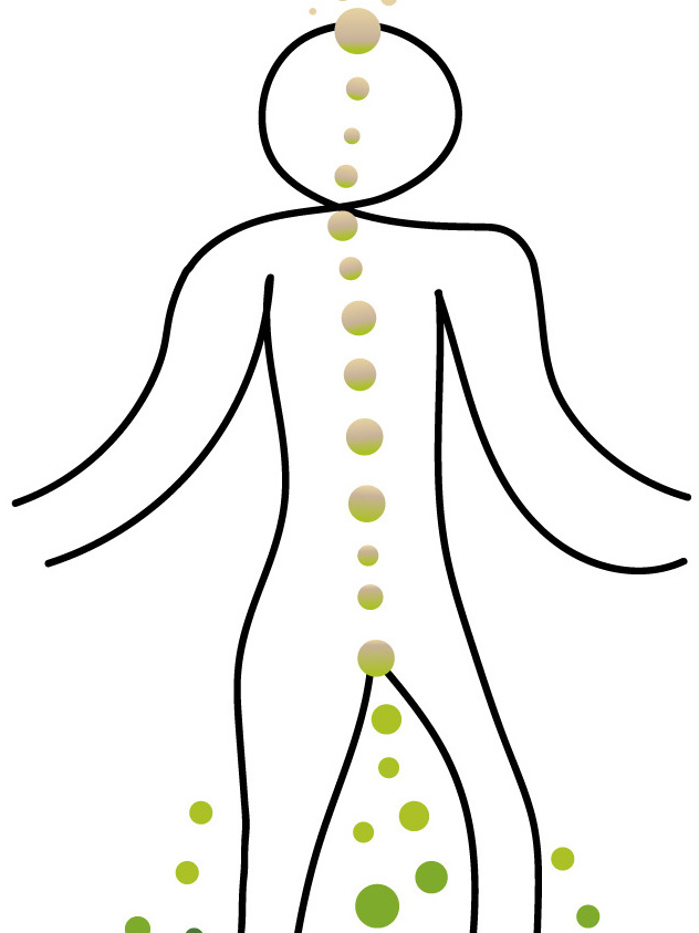 smaller_Grounding_EnergyFlowing copy.jpeg